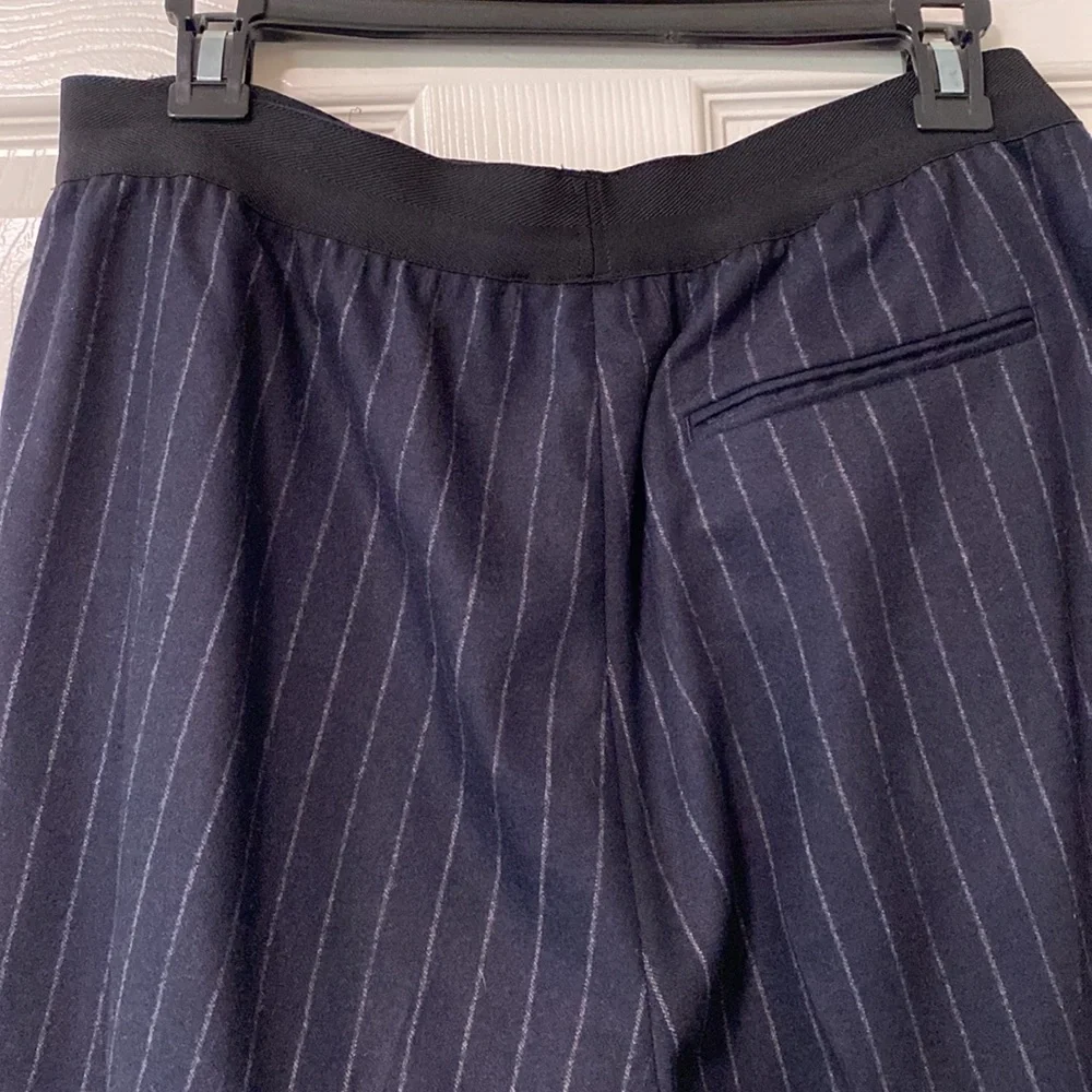 Everlane navy pinstripe pants size 8 - Picture 4 of 7
